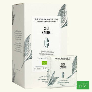 Sidi Kaouki