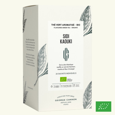 Sidi Kaouki