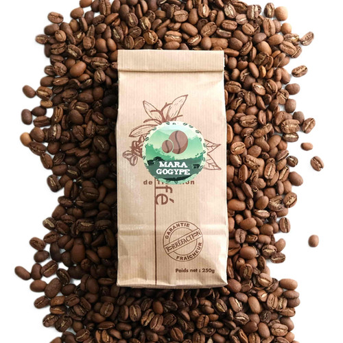 Nicaragua Maragogype